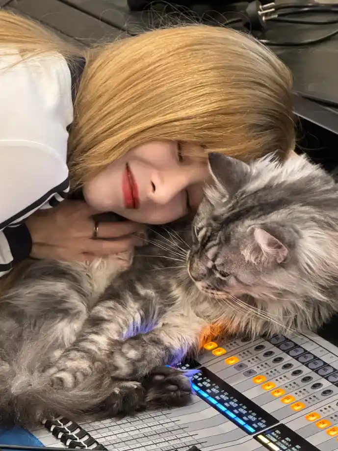 游戏下载进度条卡顿示意图